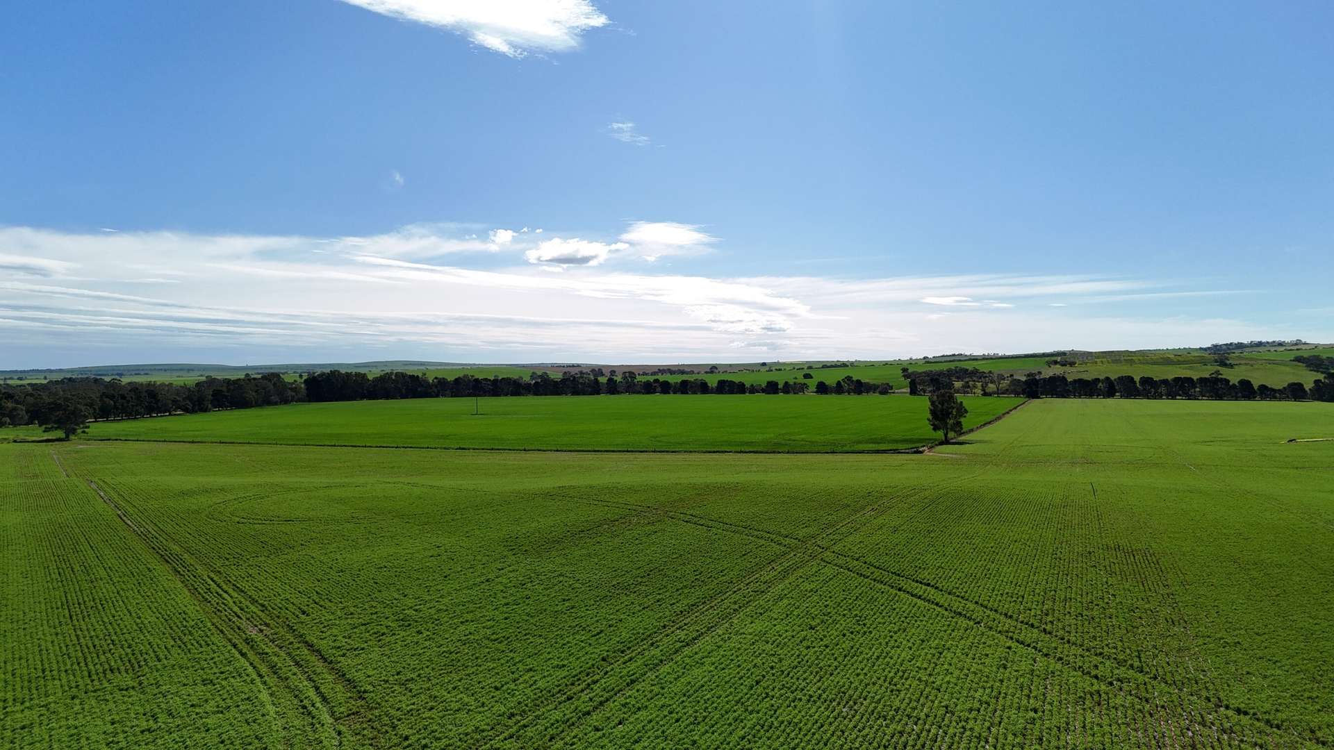 'Riverleigh' 110 Pedler Road, Yacka For Sale by Farmbuy.com - image 6