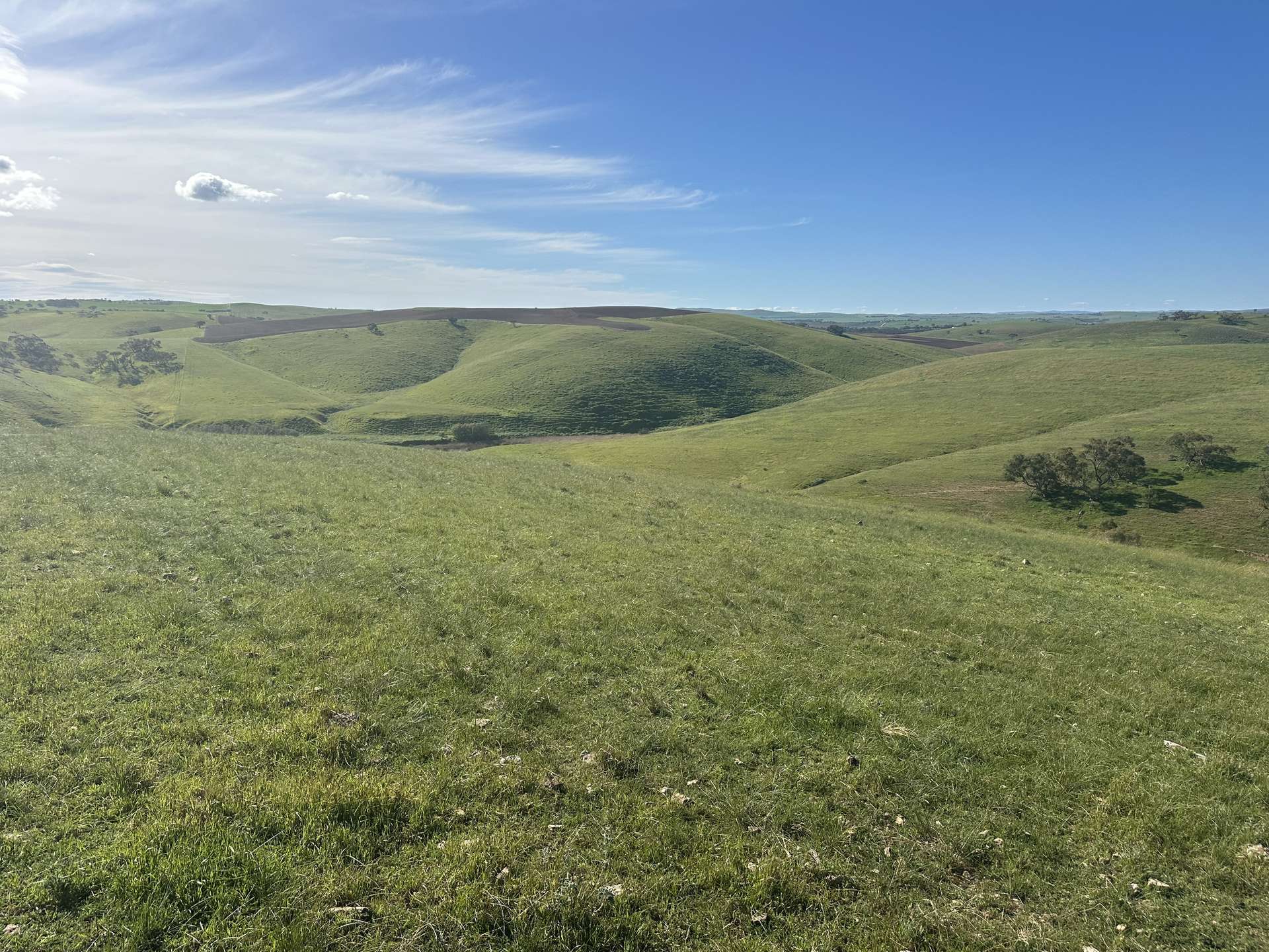 'Riverleigh' 110 Pedler Road, Yacka For Sale by Farmbuy.com - image 17