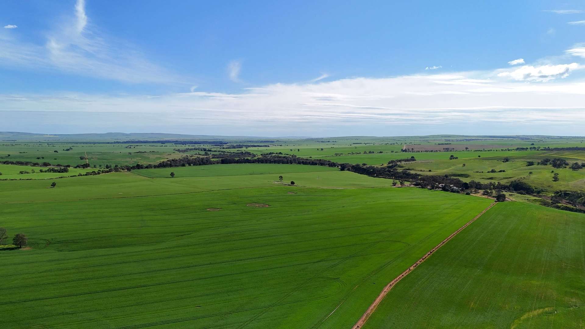 'Riverleigh' 110 Pedler Road, Yacka For Sale by Farmbuy.com - image 3