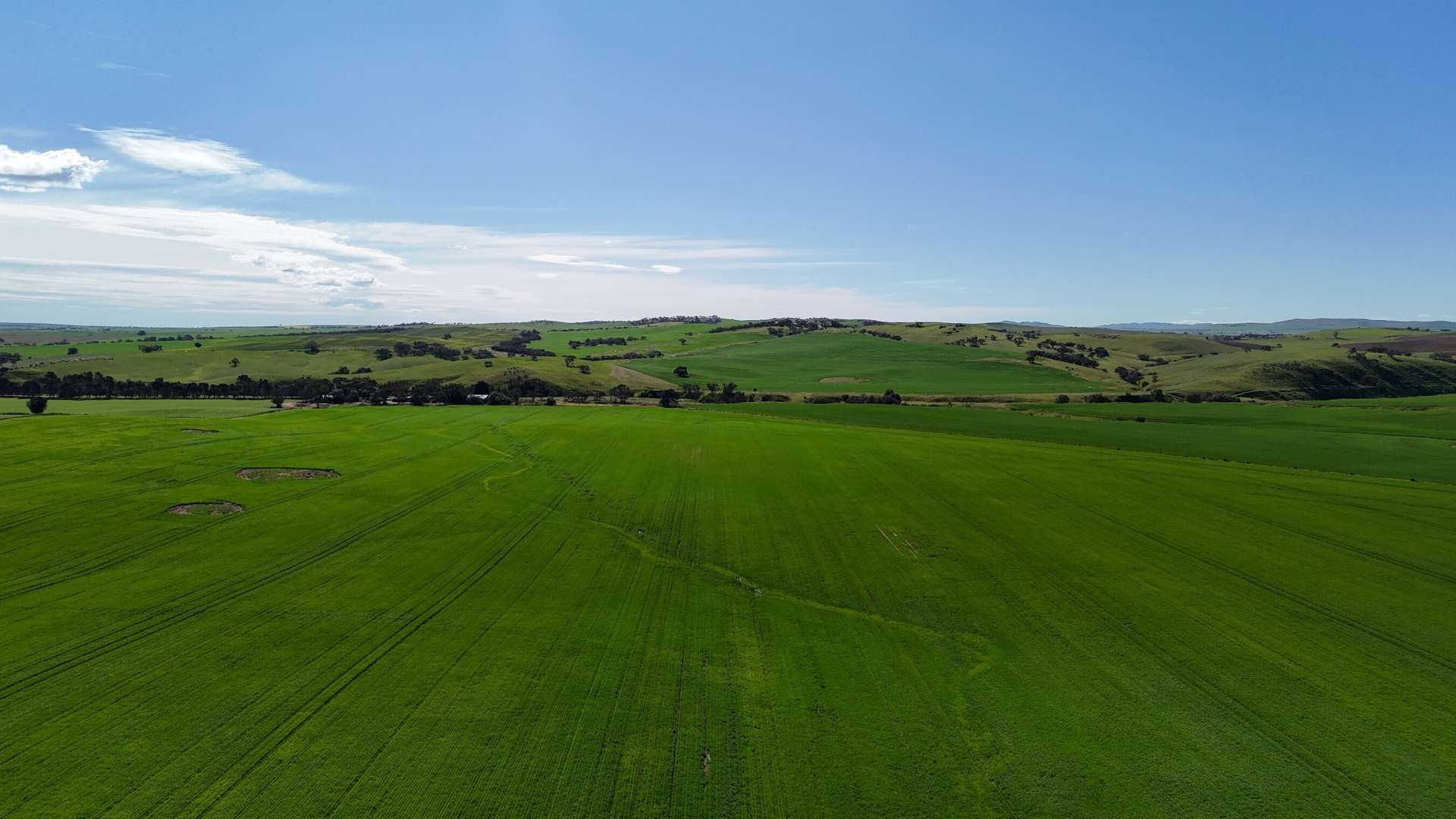 'Riverleigh' 110 Pedler Road, Yacka For Sale by Farmbuy.com - image 7