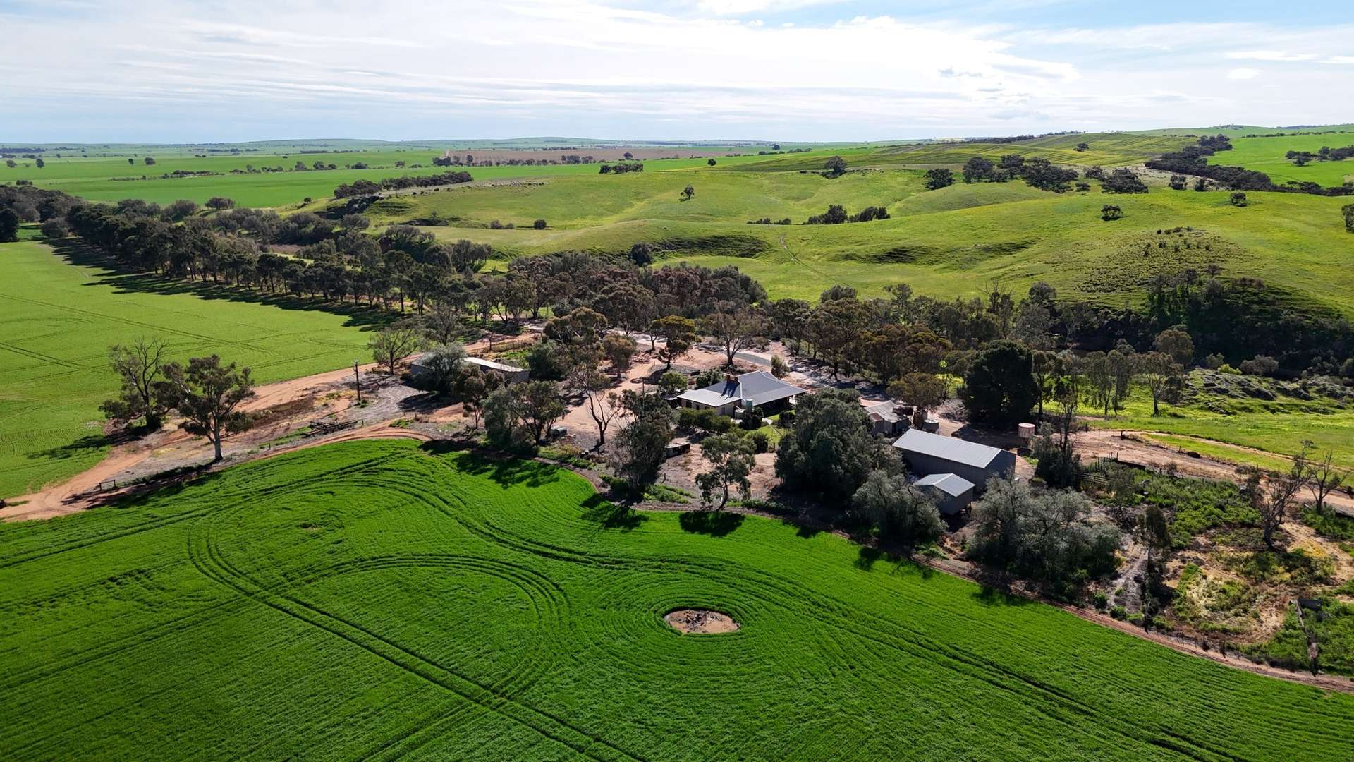 'Riverleigh' 110 Pedler Road, Yacka For Sale by Farmbuy.com - image 2