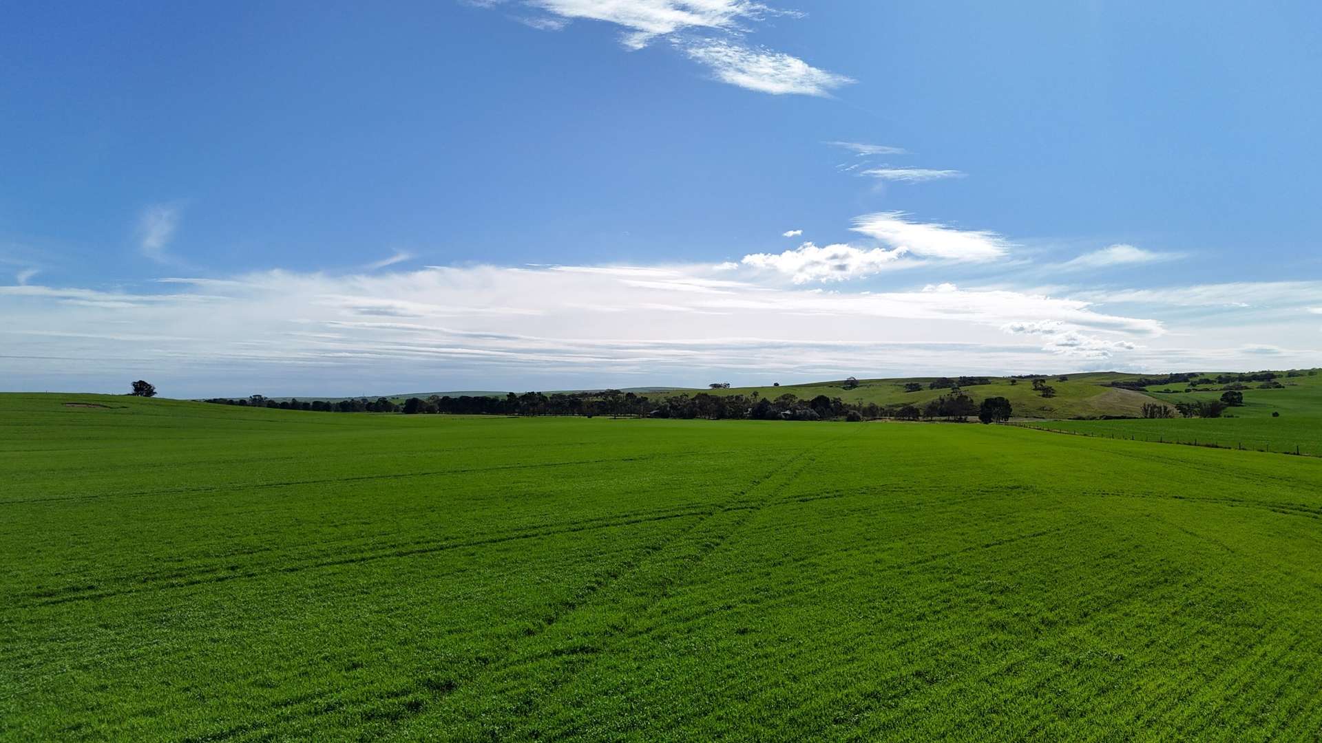 'Riverleigh' 110 Pedler Road, Yacka For Sale by Farmbuy.com - image 5