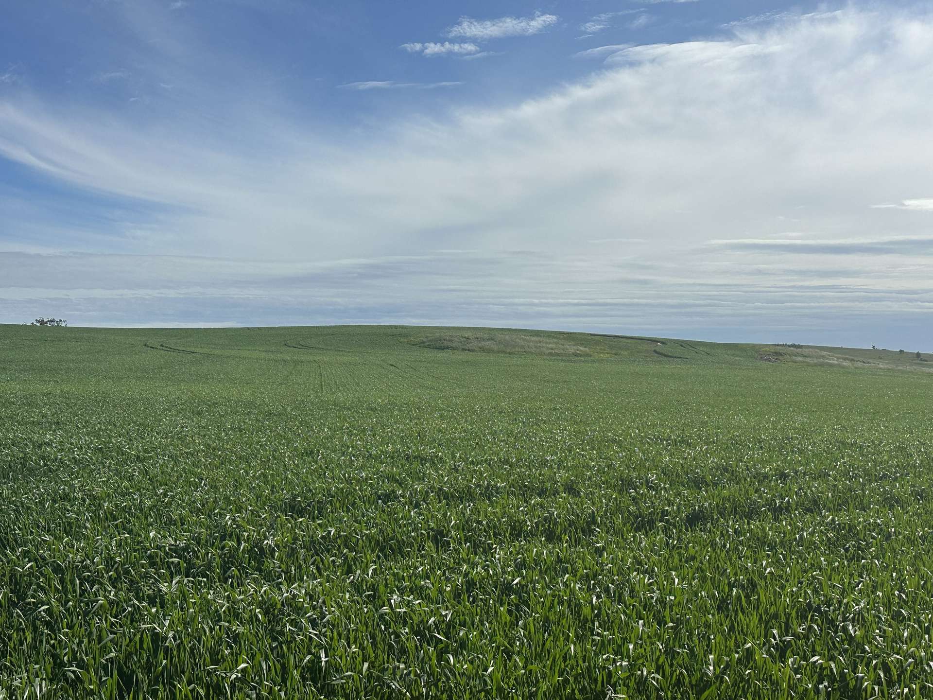 'Riverleigh' 110 Pedler Road, Yacka For Sale by Farmbuy.com - image 12