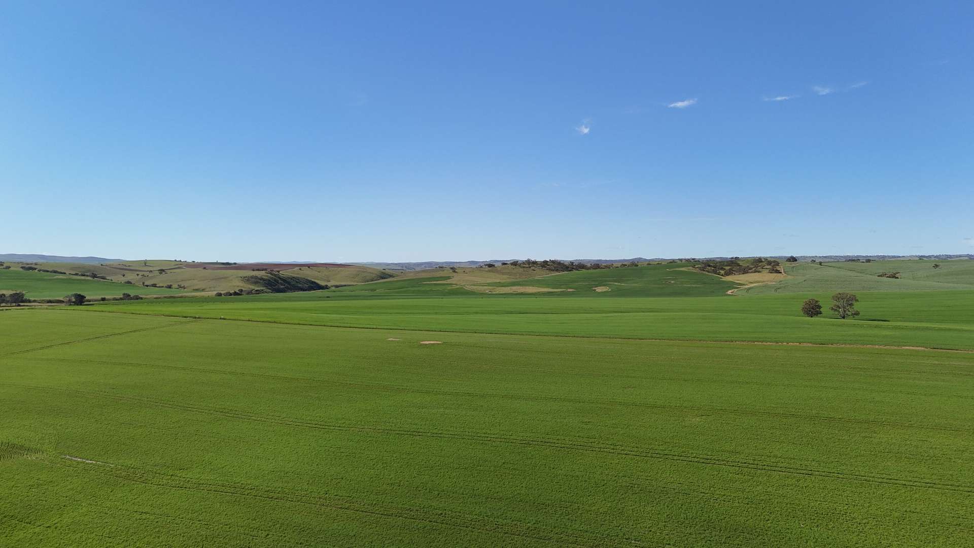 'Riverleigh' 110 Pedler Road, Yacka For Sale by Farmbuy.com - image 8
