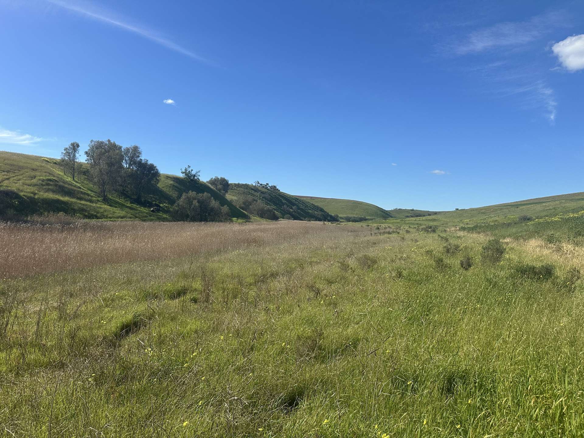 'Riverleigh' 110 Pedler Road, Yacka For Sale by Farmbuy.com - image 15