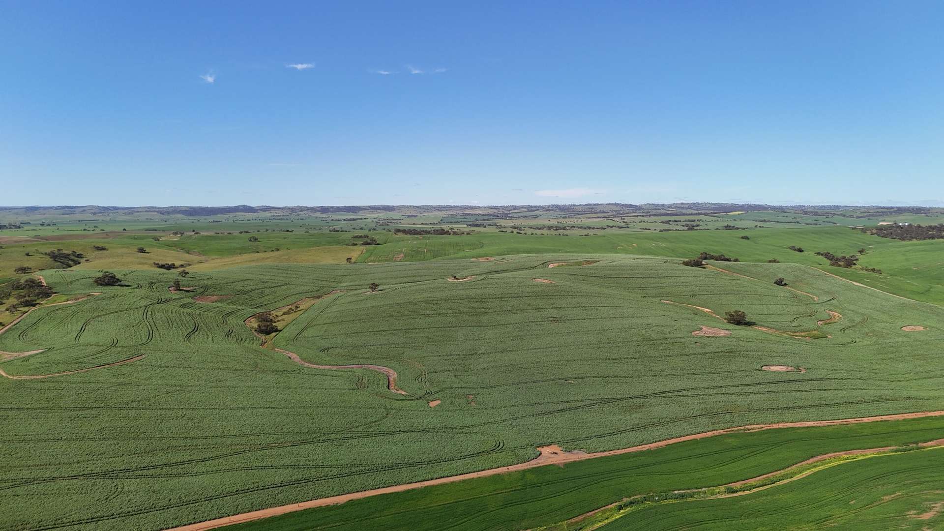 'Riverleigh' 110 Pedler Road, Yacka For Sale by Farmbuy.com - image 11
