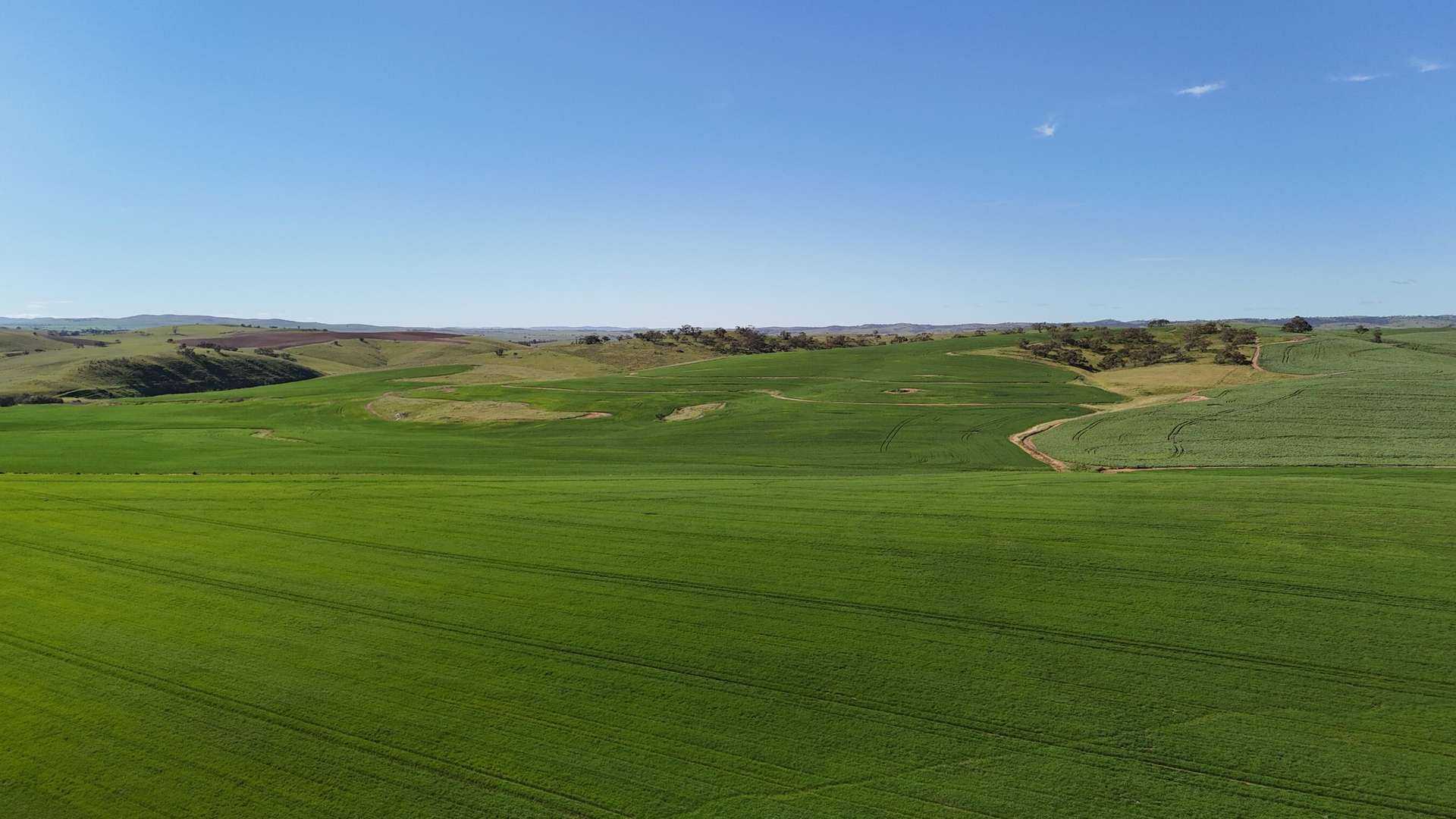 'Riverleigh' 110 Pedler Road, Yacka For Sale by Farmbuy.com - image 9