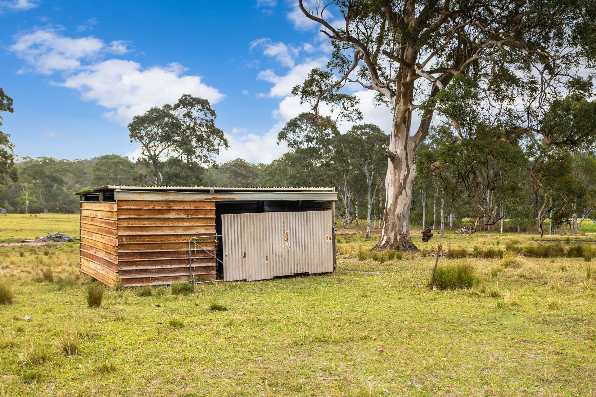561 Kimbriki Road, Kimbriki For Sale by Farmbuy.com - image 11