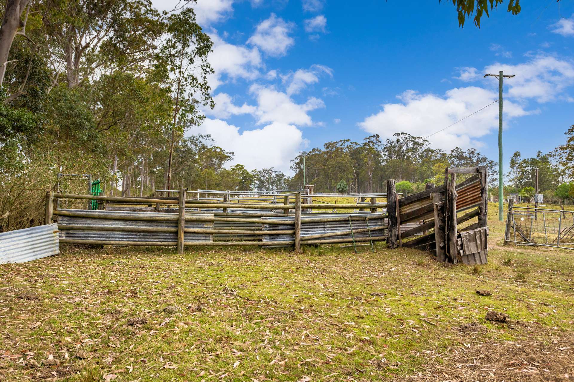 561 Kimbriki Road, Kimbriki For Sale by Farmbuy.com - image 13