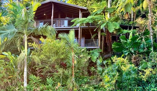 Farm For Sale - QLD - Mossman - 4873 - PANORAMIC CORAL SEA & PORT DOUGLAS VIEWS | 600M² OF LIVING SPACE | ONE EXTRAORDINARY OPPORTUNITY 