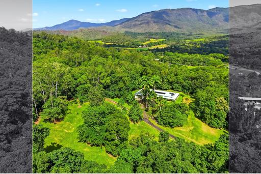 Farm For Sale - QLD - Little Mulgrave - 4865 - An Exceptional 4-Hectare Rainforest Sanctuary 