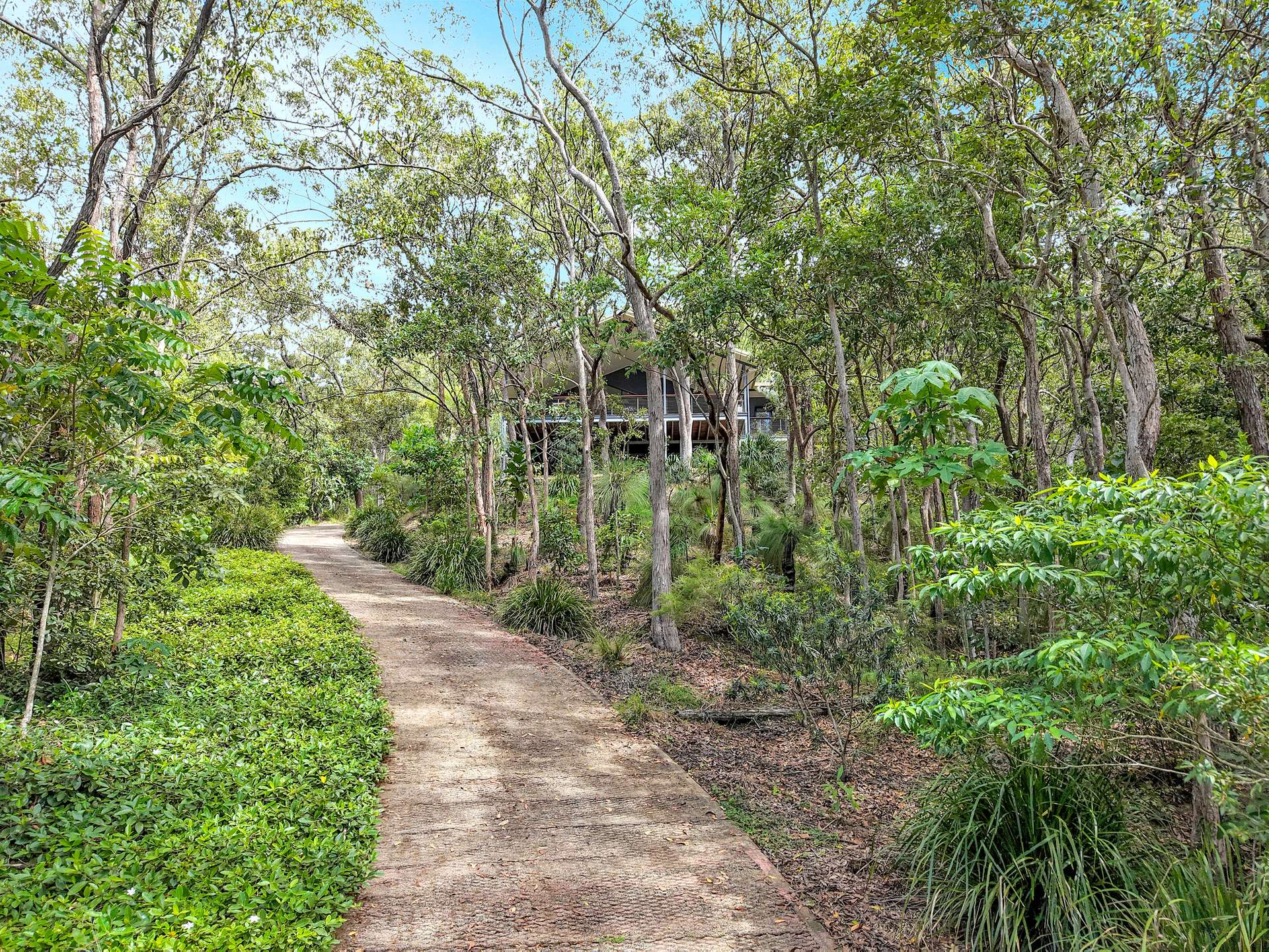 5-7 Cleary Close, Gordonvale For Sale by Farmbuy.com - image 20