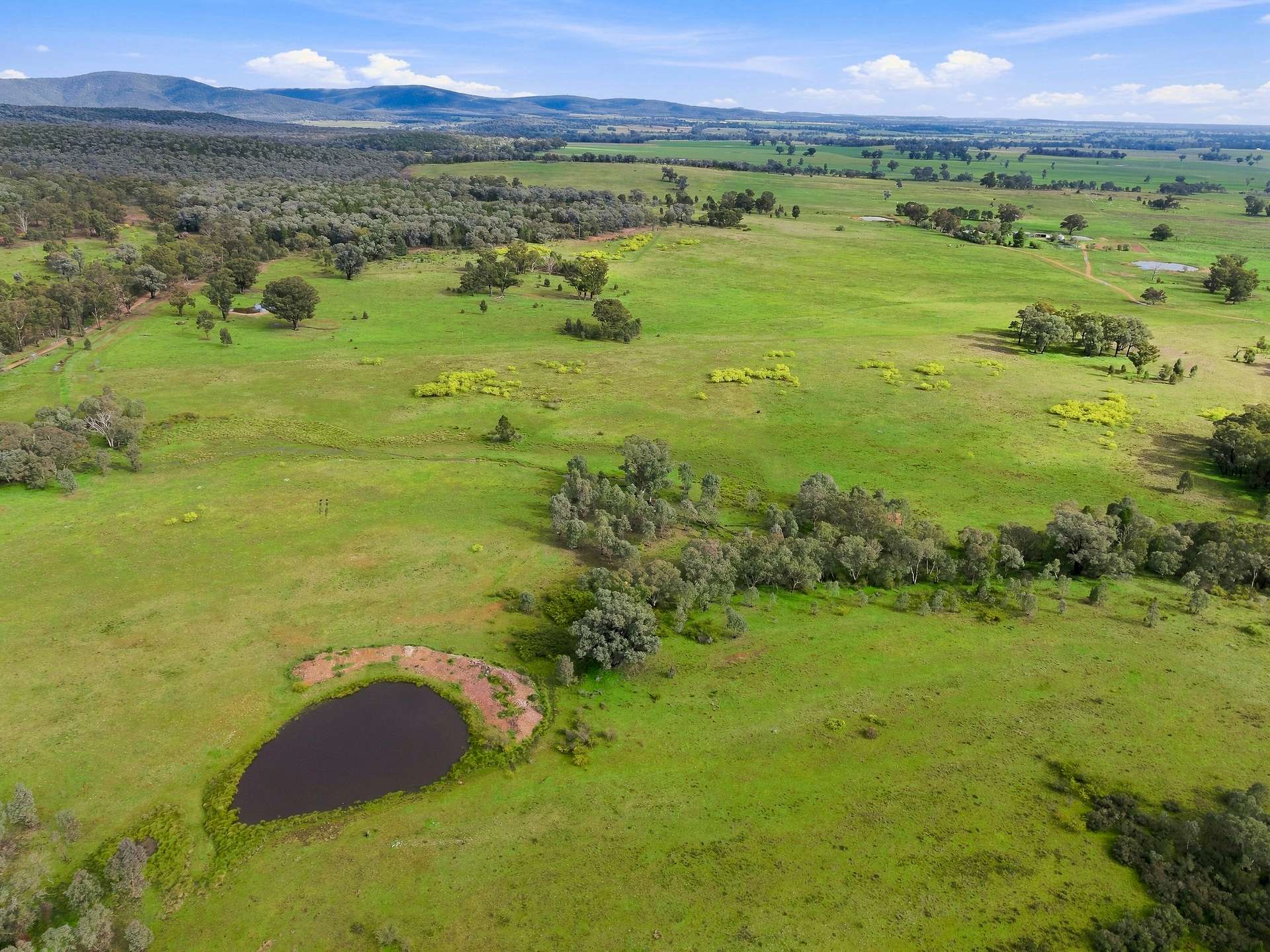 'Merrivale' 358 Goodwins Lookout Road, Cowra For Sale by Farmbuy.com - image 3