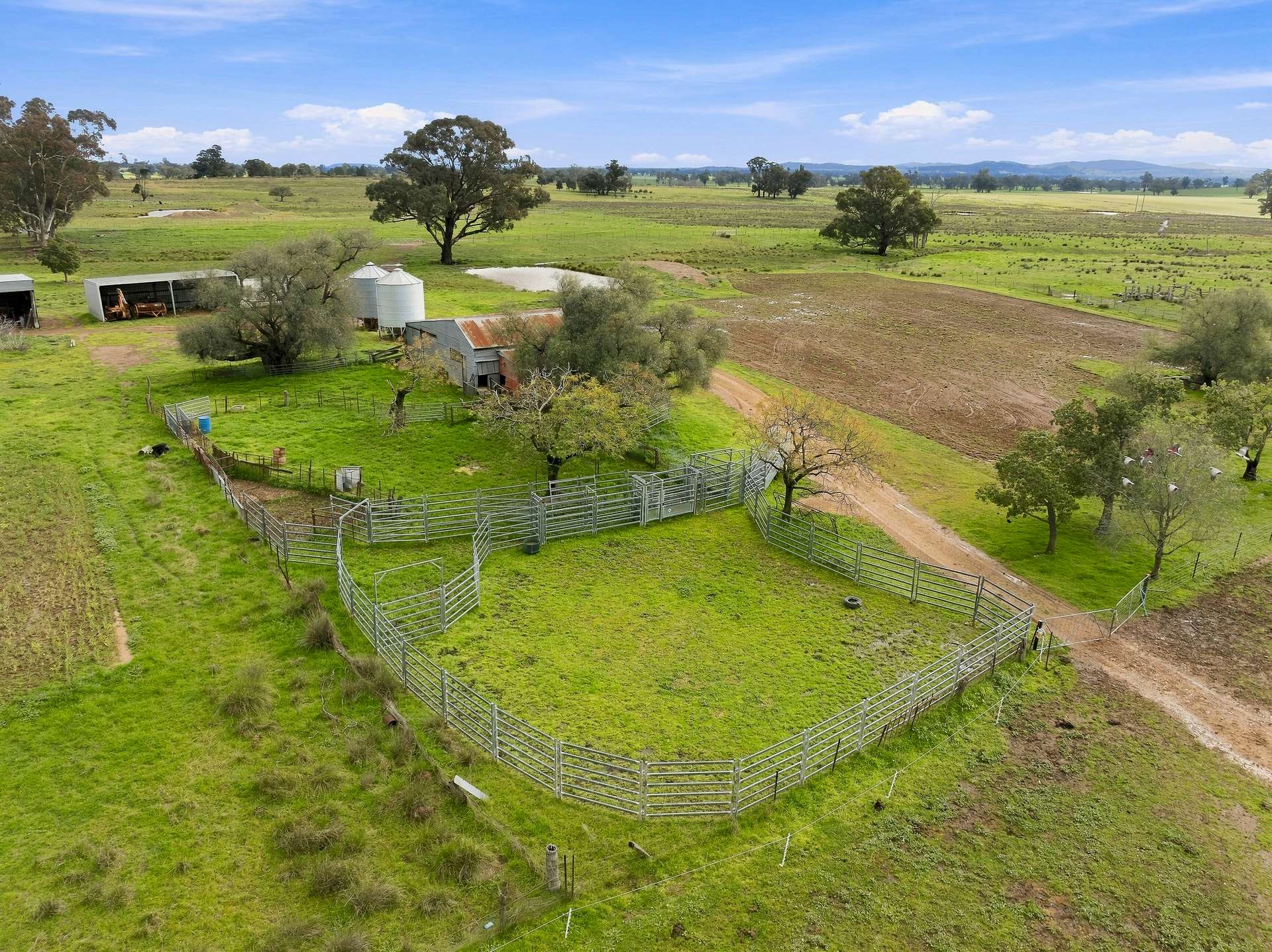 'Merrivale' 358 Goodwins Lookout Road, Cowra For Sale by Farmbuy.com - image 11