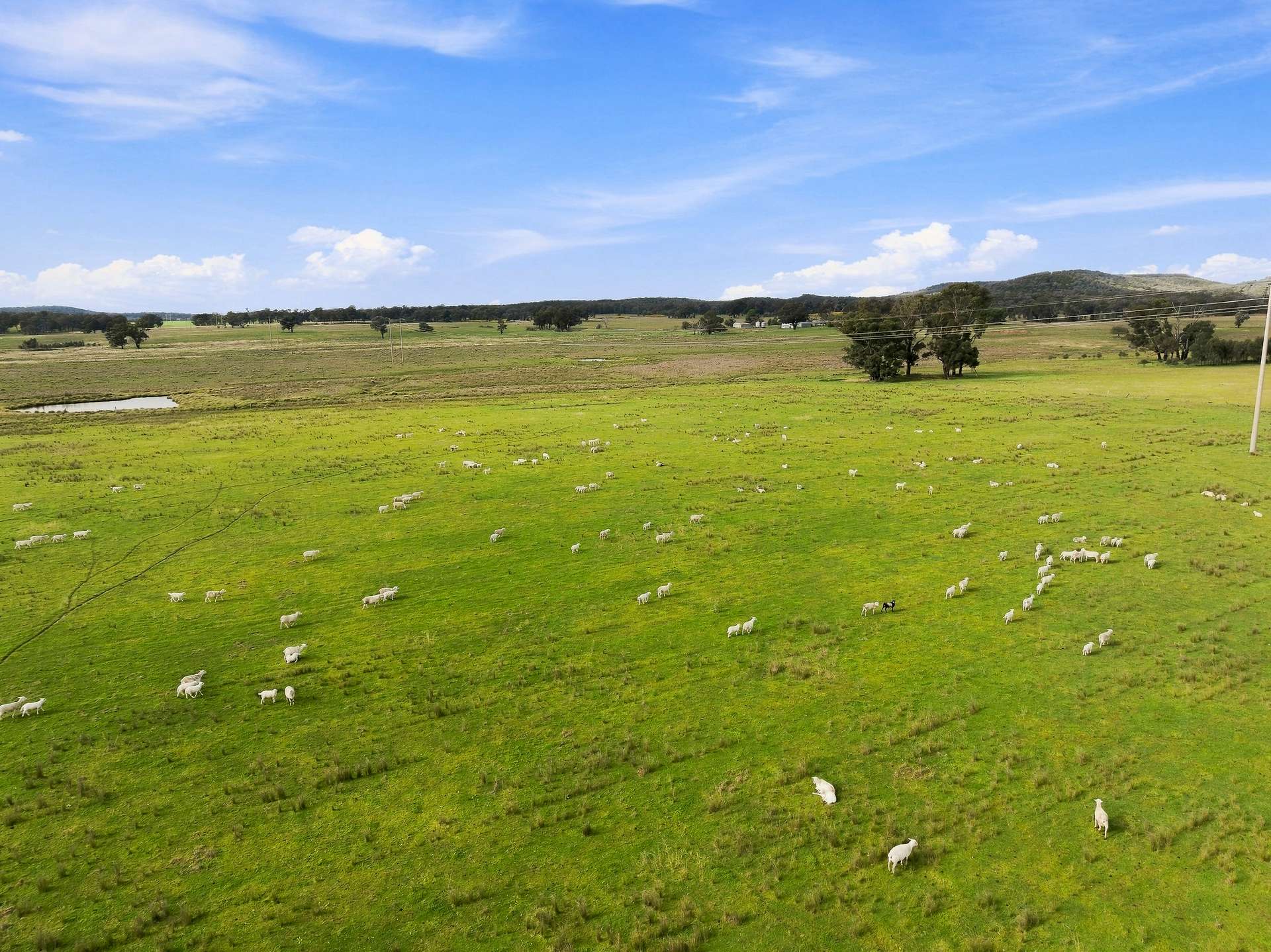 'Merrivale' 358 Goodwins Lookout Road, Cowra For Sale by Farmbuy.com - image 7