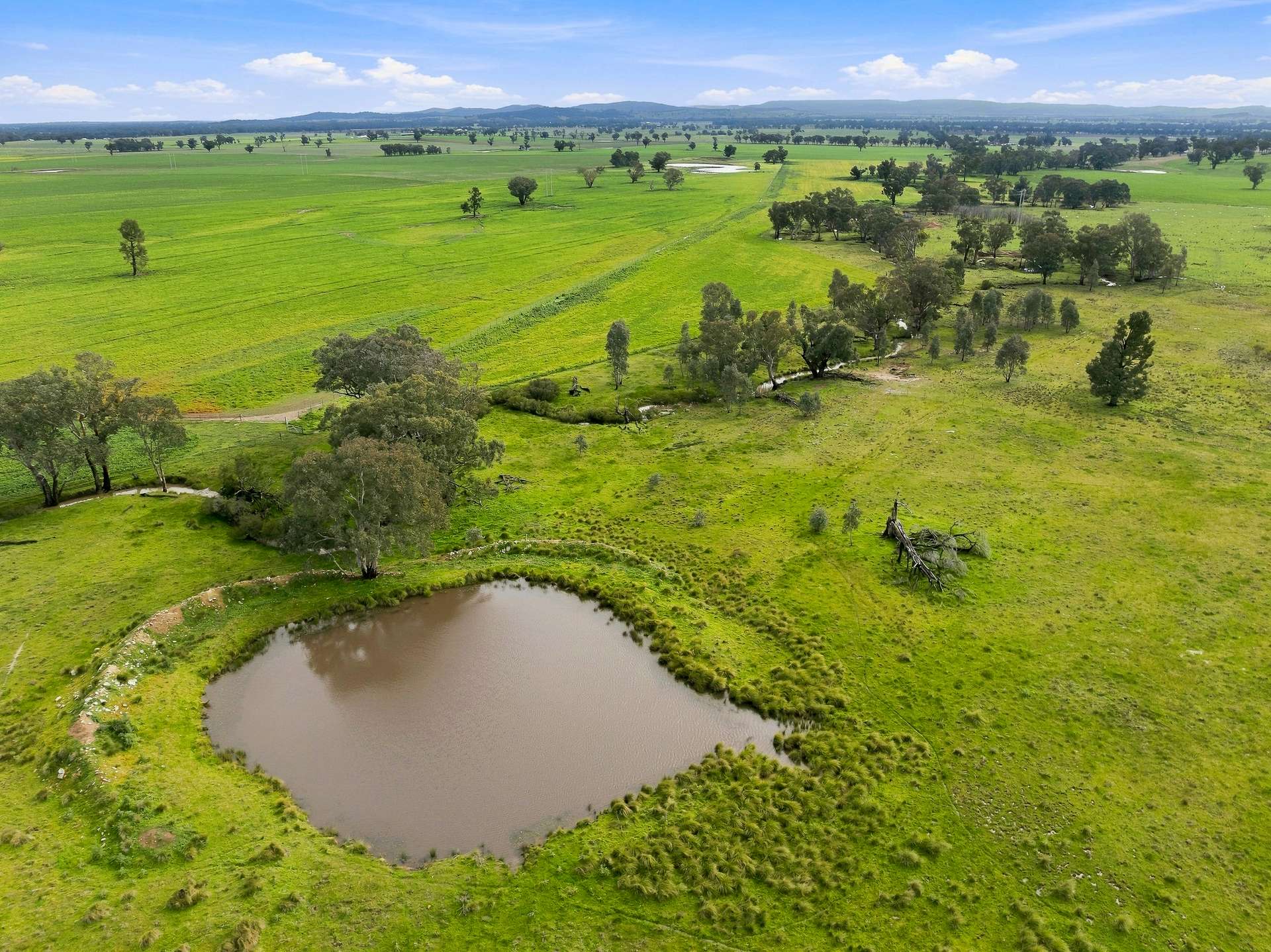 'Merrivale' 358 Goodwins Lookout Road, Cowra For Sale by Farmbuy.com - image 5