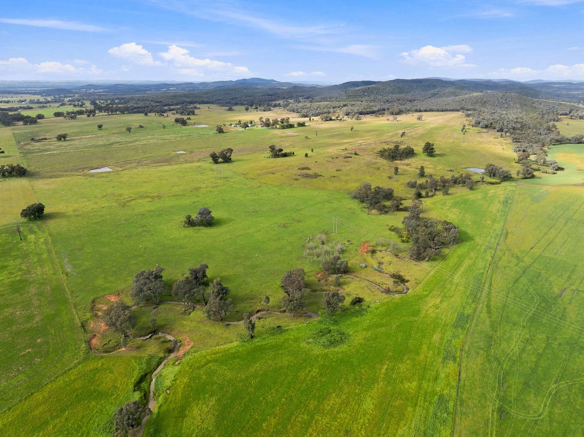 'Merrivale' 358 Goodwins Lookout Road, Cowra For Sale by Farmbuy.com - image 10