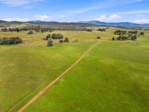 Farm For Sale - NSW - Cowra - 2794 - 600 Acres of Productive Country with Plenty of Potential 