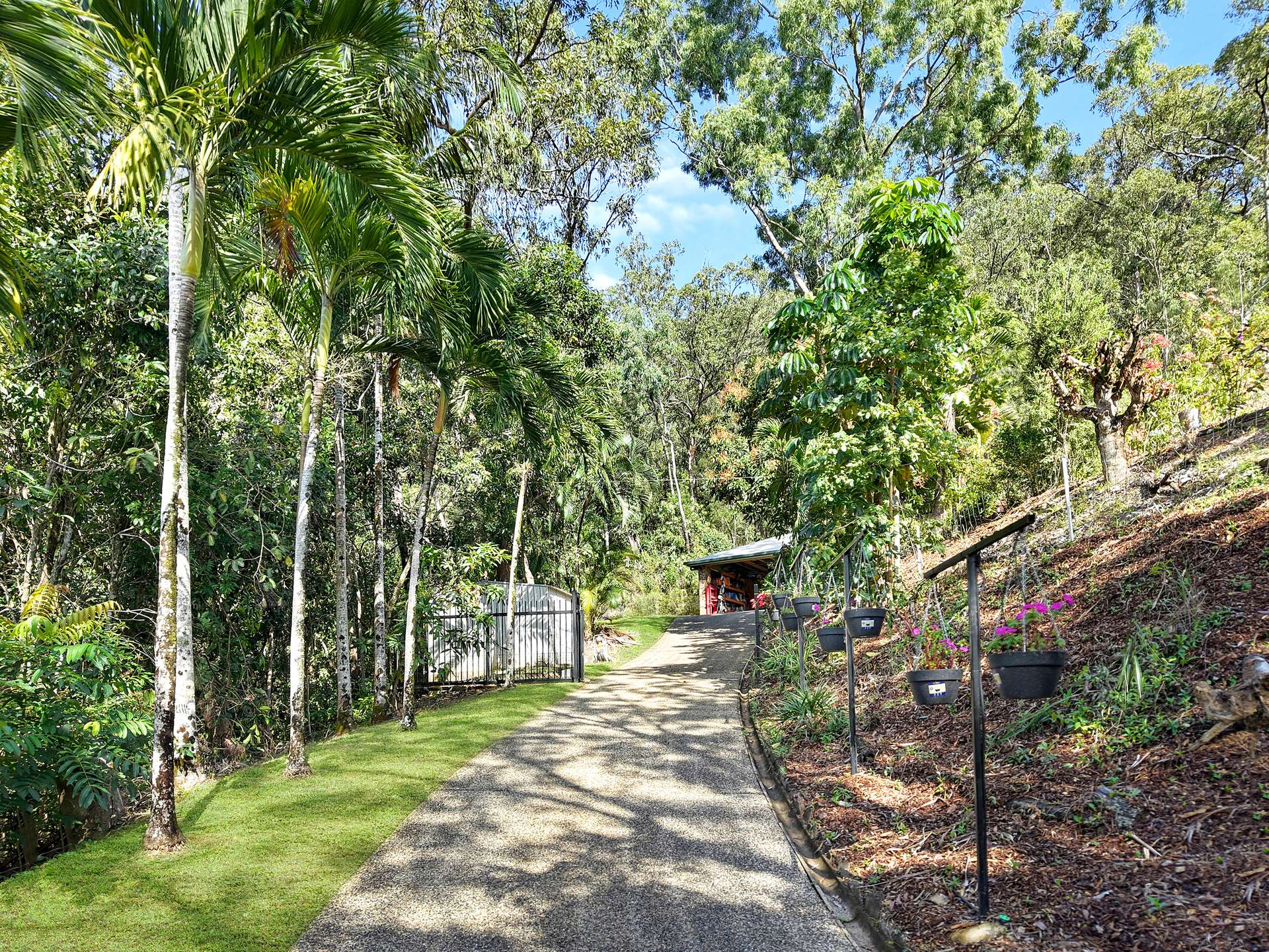 55-61 Hickey Close, Gordonvale For Sale by Farmbuy.com - image 18