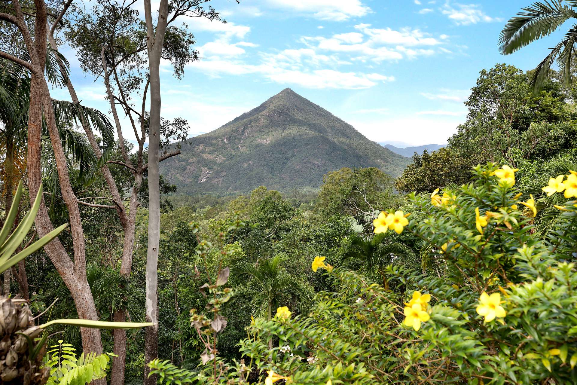 55-61 Hickey Close, Gordonvale For Sale by Farmbuy.com - image 24