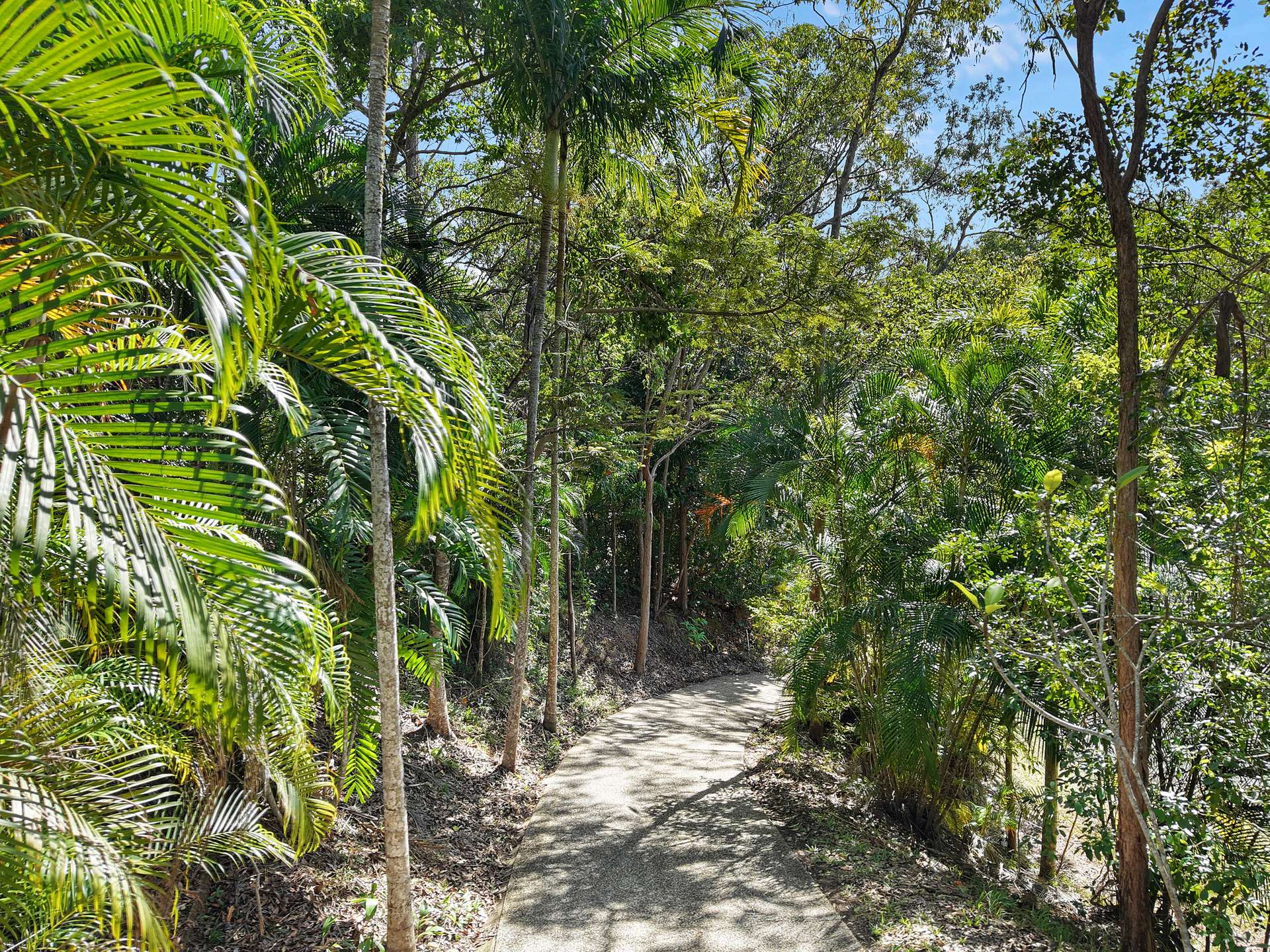 55-61 Hickey Close, Gordonvale For Sale by Farmbuy.com - image 19