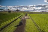 4500 Purlewaugh Road, Purlewaugh Auction by Elders NSW Rural Real Estate