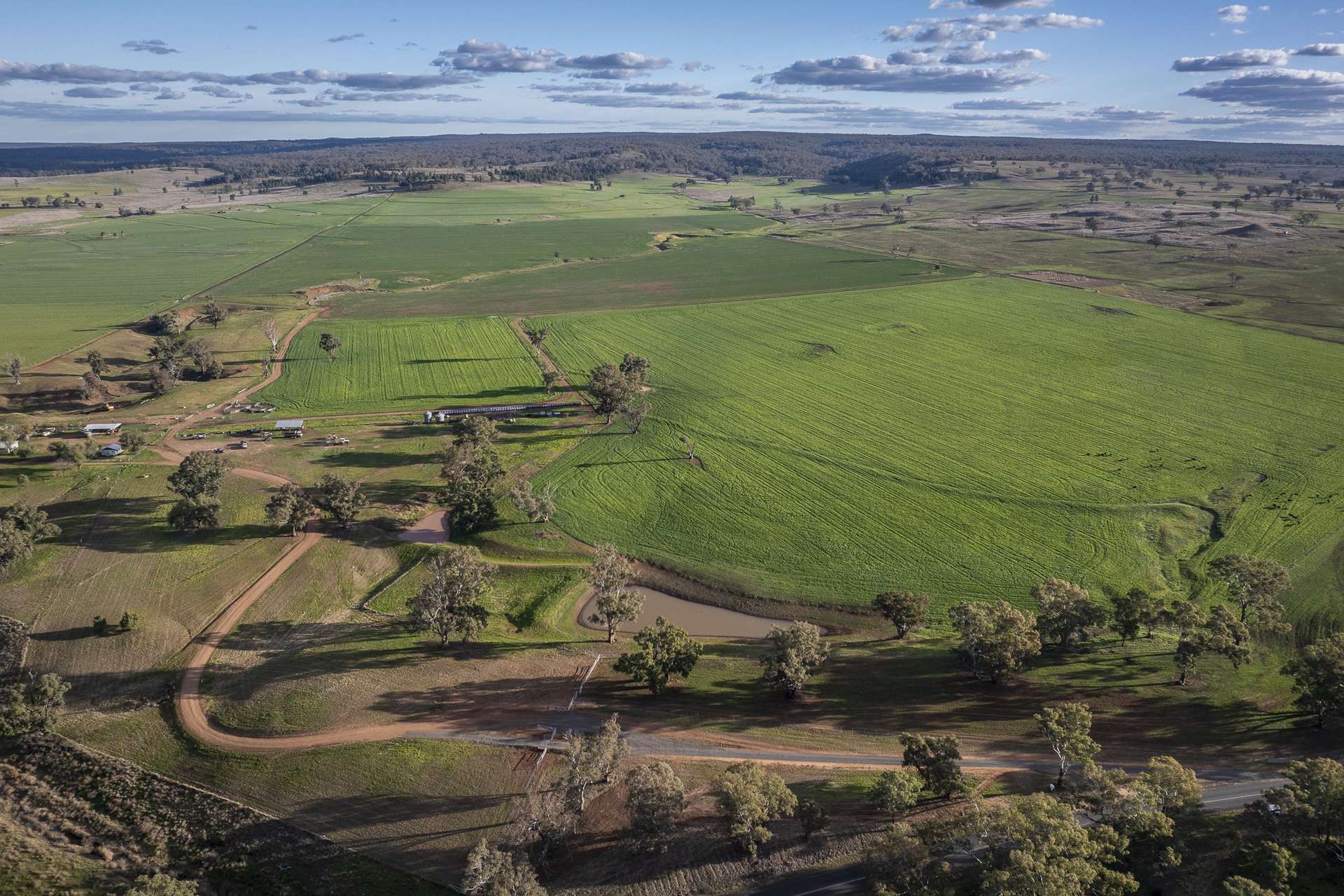 4500 Purlewaugh Road, Purlewaugh Auction by Farmbuy.com - image 16