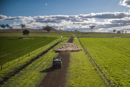 4500 Purlewaugh Road, Purlewaugh NSW 2357