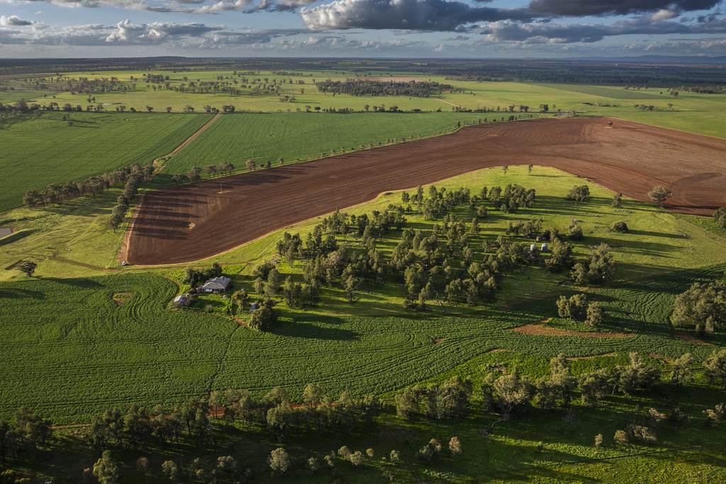 3235 Trundle Road, Cooks Myalls NSW 2870