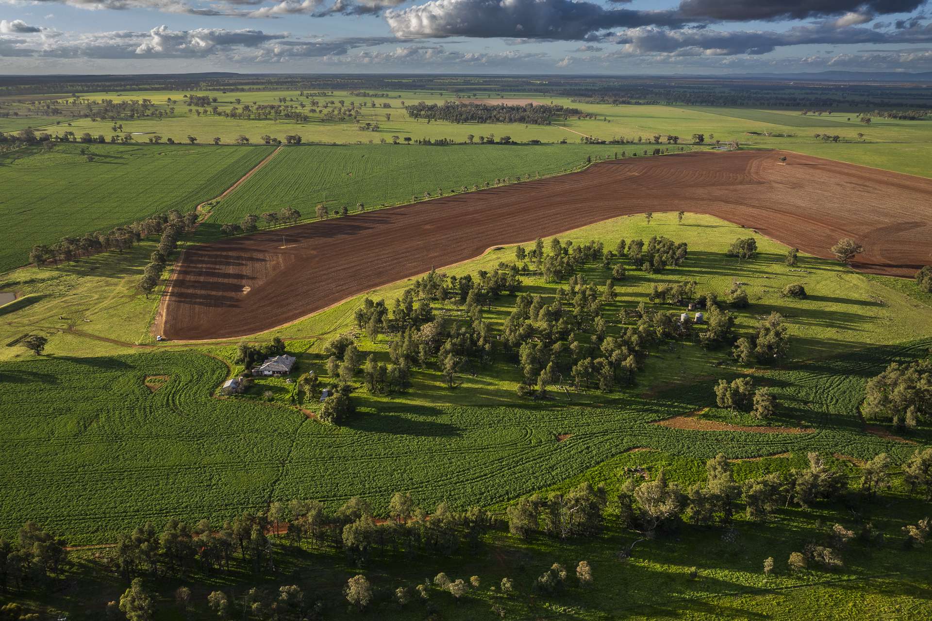 3235 Trundle Road, Cooks Myalls Auction by Farmbuy.com - image 1