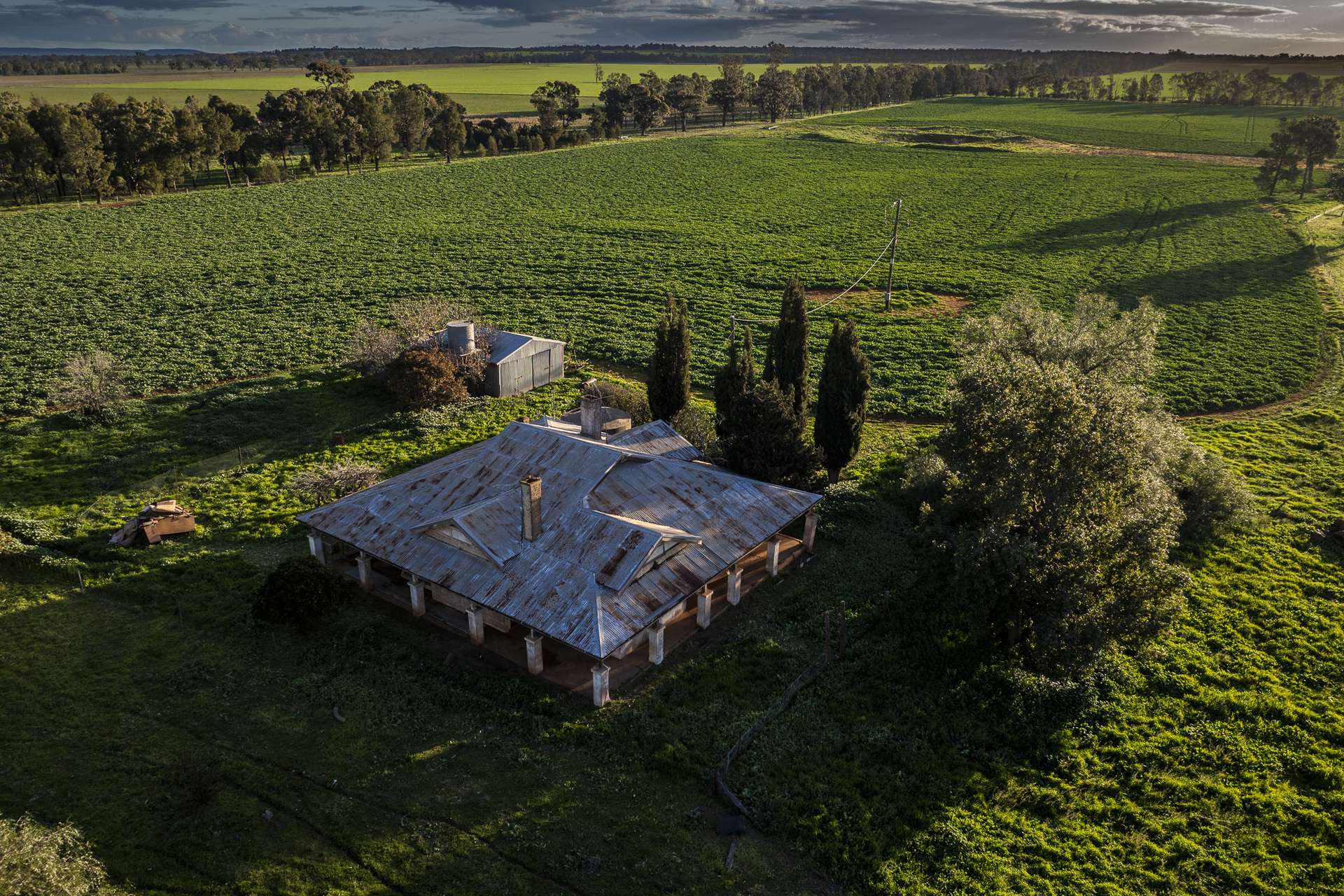 3235 Trundle Road, Cooks Myalls Auction by Farmbuy.com - image 7