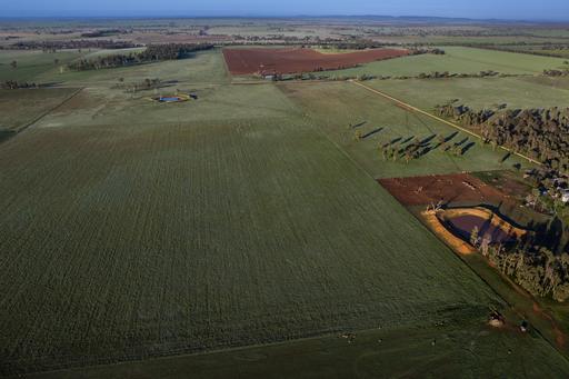 Farm Auction - NSW - Cooks Myalls - 2870 - 'Rockvale' – Productive Mixed Farming with Outstanding Water Security 