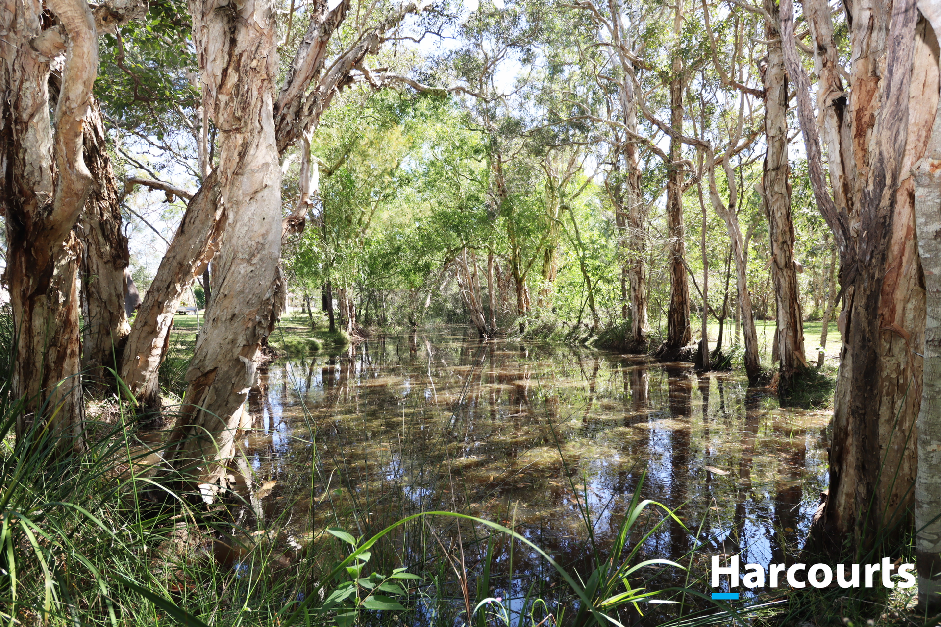 17 Melaleuca Court, Redridge For Sale by Farmbuy.com - image 25