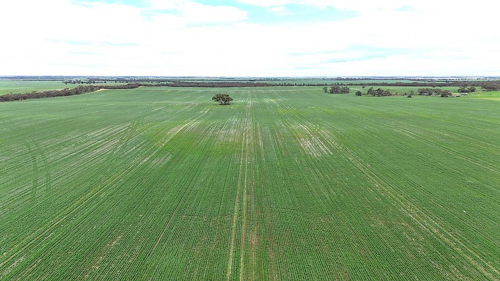 CA 21 Hopetoun&sol;Walpeup Road, Walpeup VIC 3507