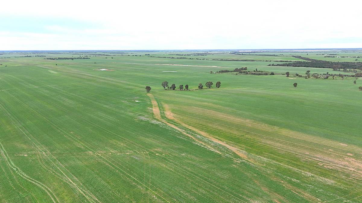 CA 21 Hopetoun/Walpeup Road, Walpeup For Sale by Farmbuy.com - image 7