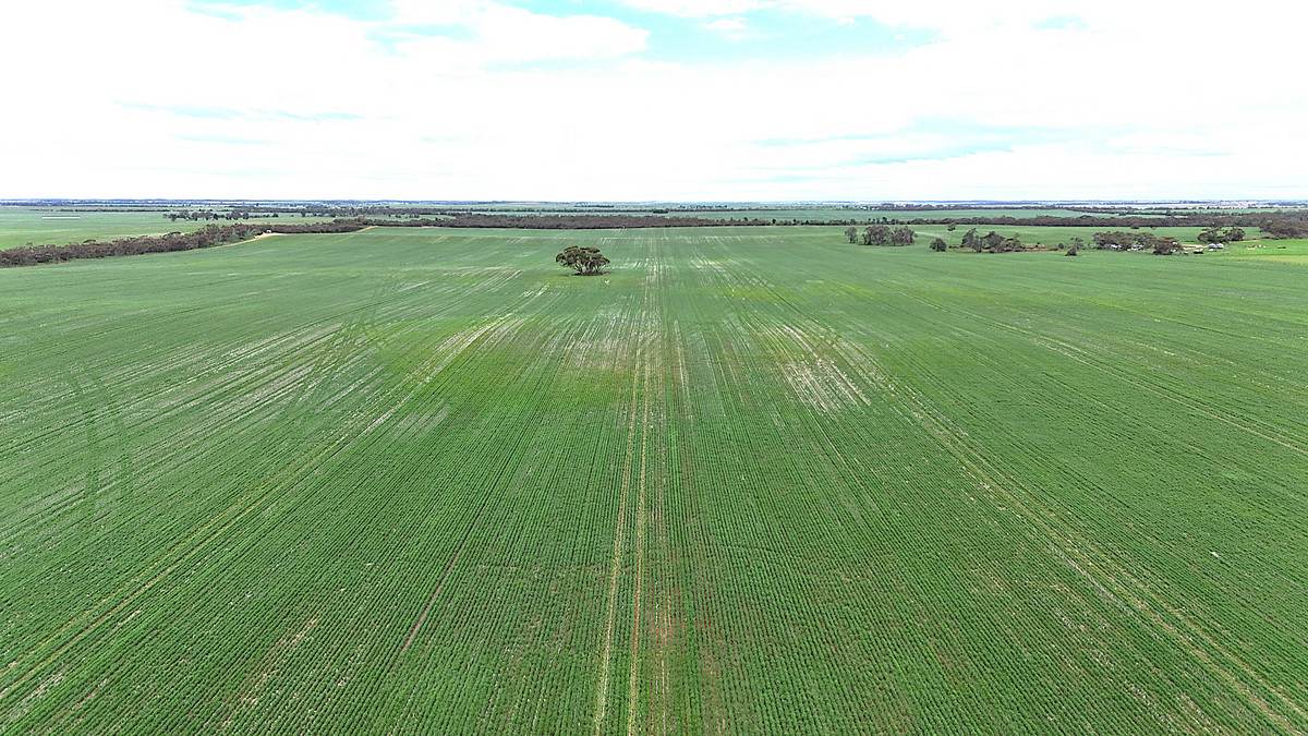 CA 21 Hopetoun/Walpeup Road, Walpeup For Sale by Farmbuy.com - image 1