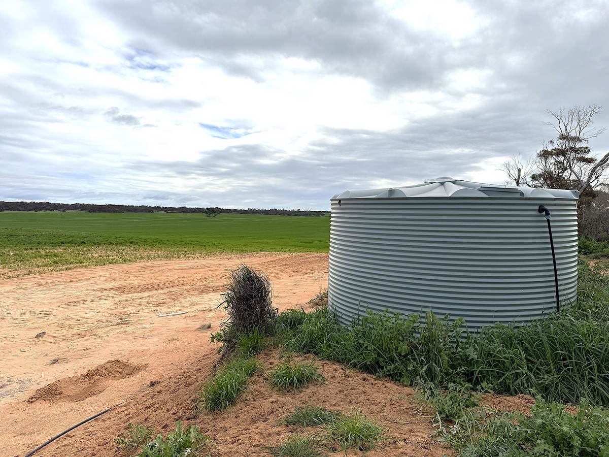 CA 21 Hopetoun/Walpeup Road, Walpeup For Sale by Farmbuy.com - image 12
