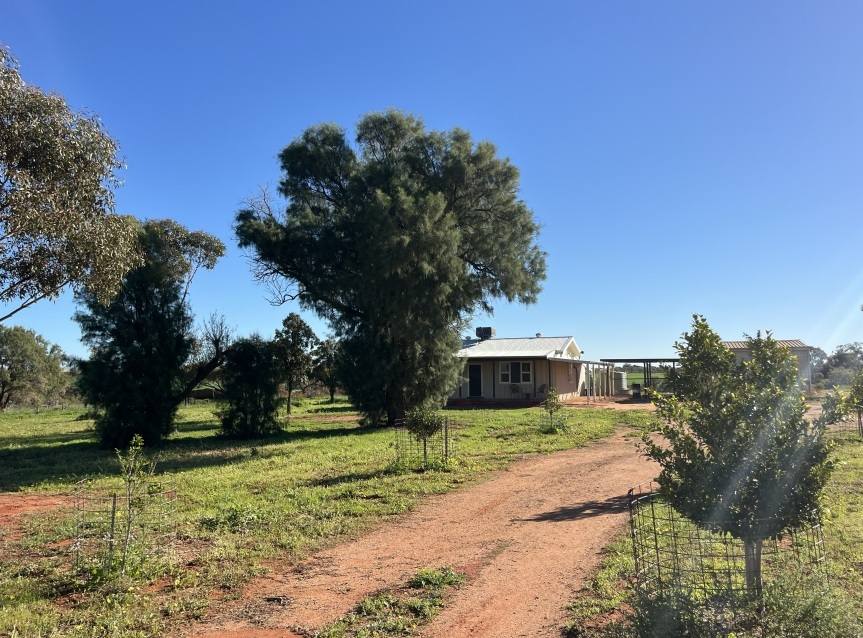 372 Burton Road, Ambania For Sale by Farmbuy.com - image 4
