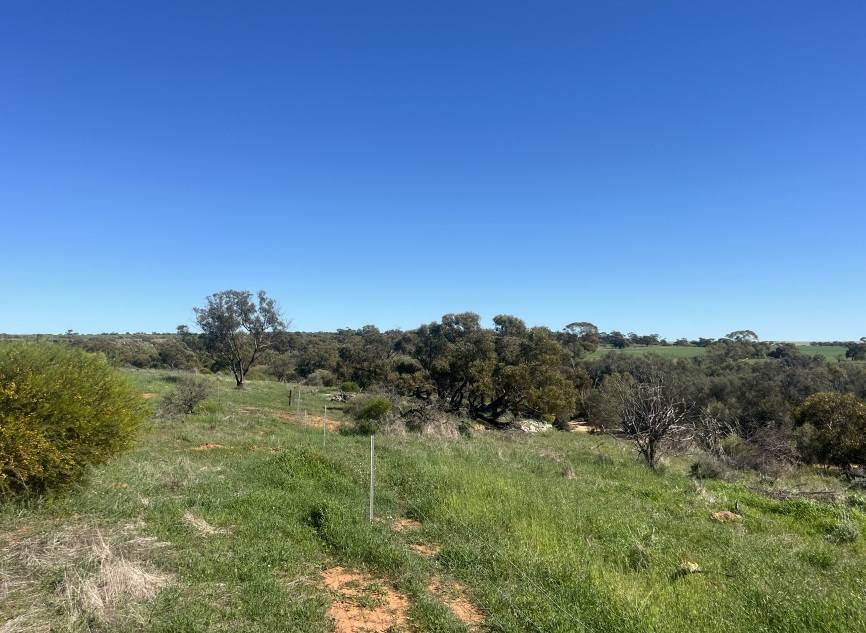 372 Burton Road, Ambania For Sale by Farmbuy.com - image 21