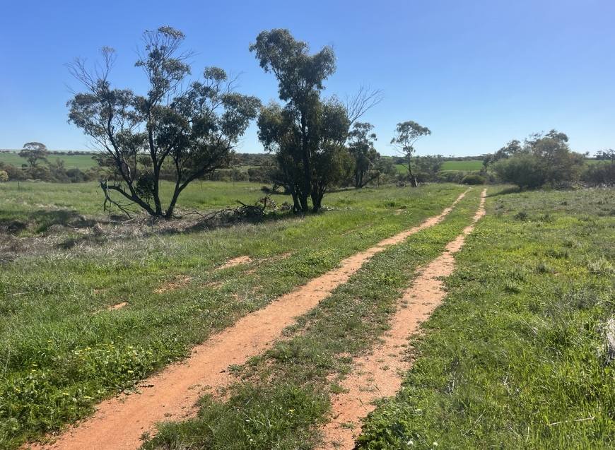 372 Burton Road, Ambania For Sale by Farmbuy.com - image 22