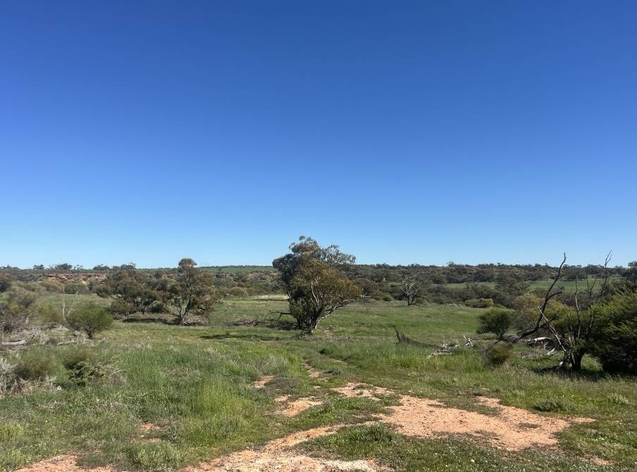 372 Burton Road, Ambania For Sale by Farmbuy.com - image 18