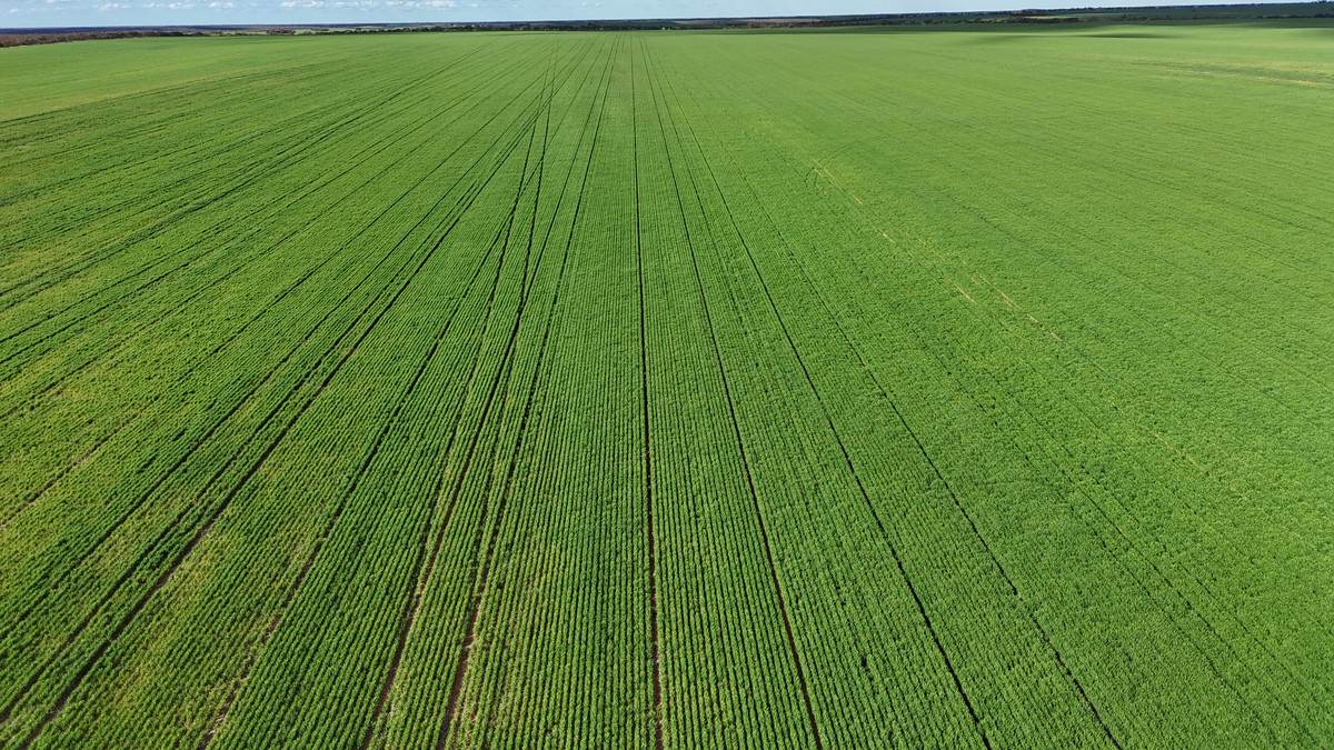 'Garlick Ridge' Parallel Road, Walpeup For Sale by Farmbuy.com - image 1