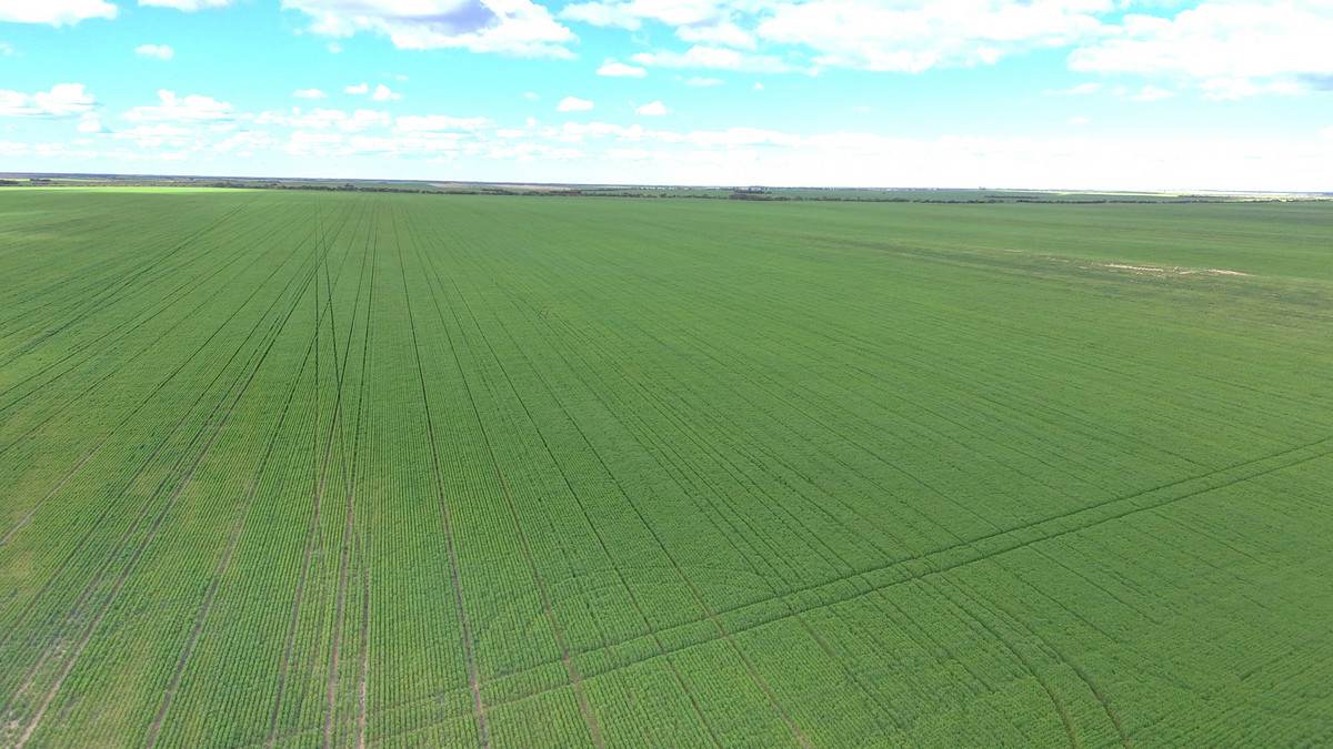 'Garlick Ridge' Parallel Road, Walpeup For Sale by Farmbuy.com - image 2