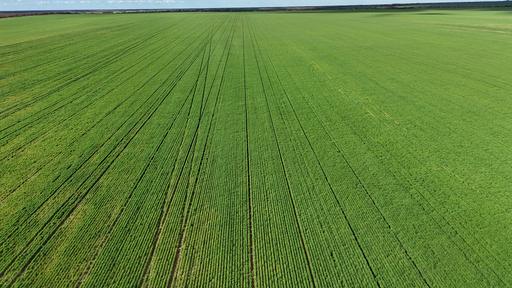 'Garlick Ridge' Parallel Road, Walpeup VIC 3507