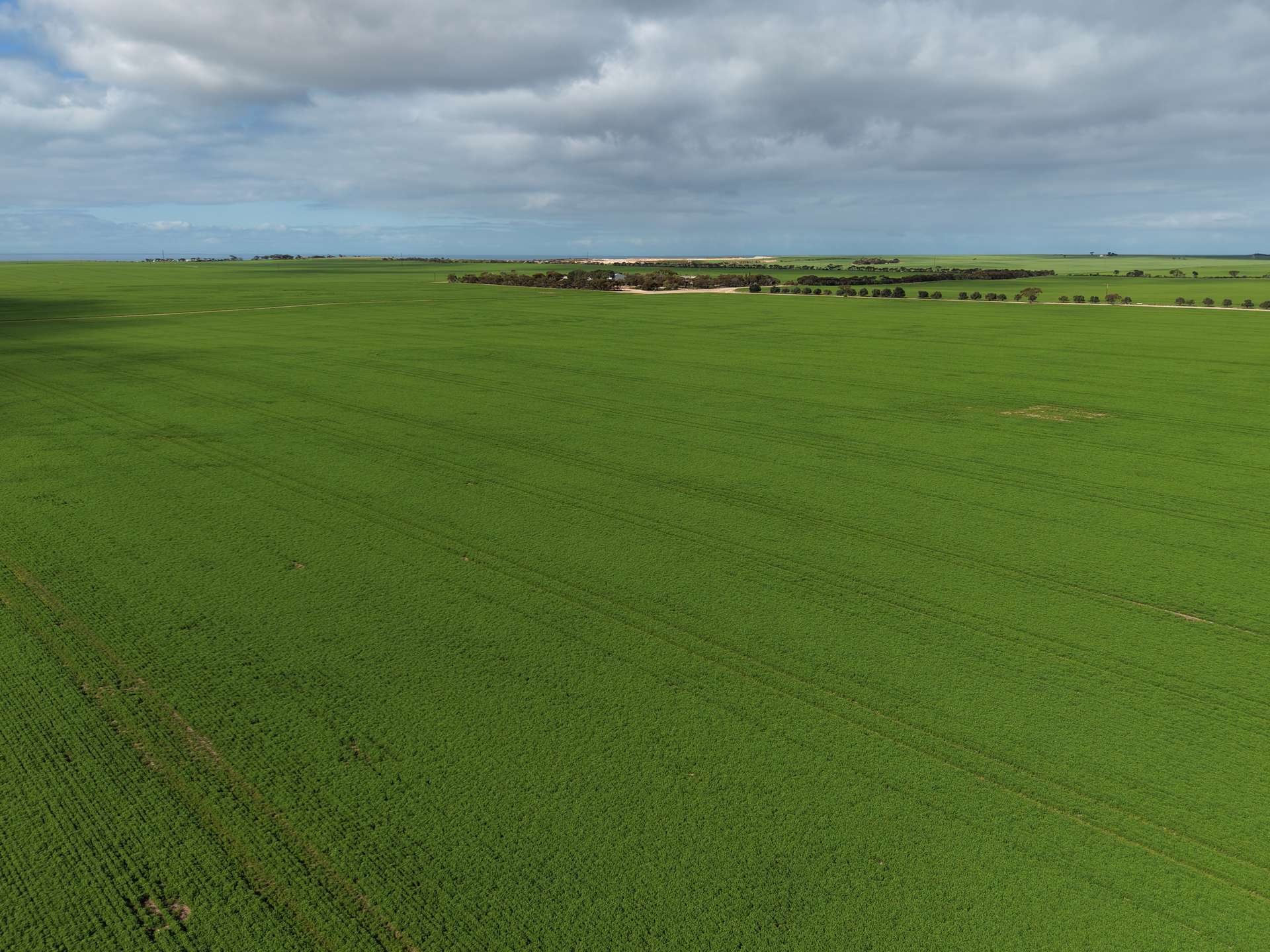 406 Crowell Road, Winulta For Sale by Farmbuy.com - image 5