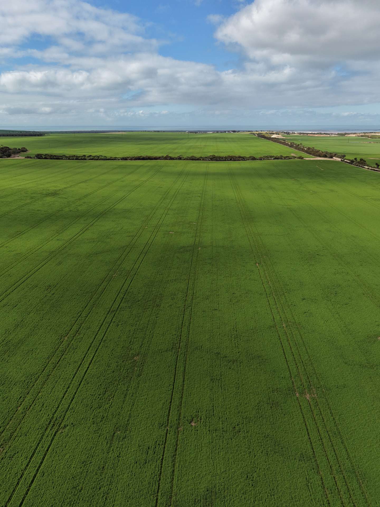 406 Crowell Road, Winulta For Sale by Farmbuy.com - image 4