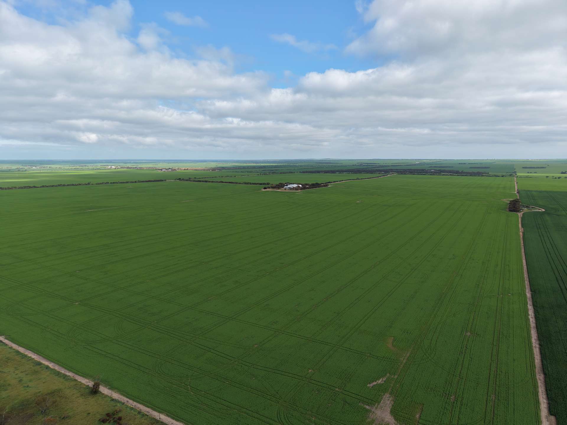 406 Crowell Road, Winulta For Sale by Farmbuy.com - image 2