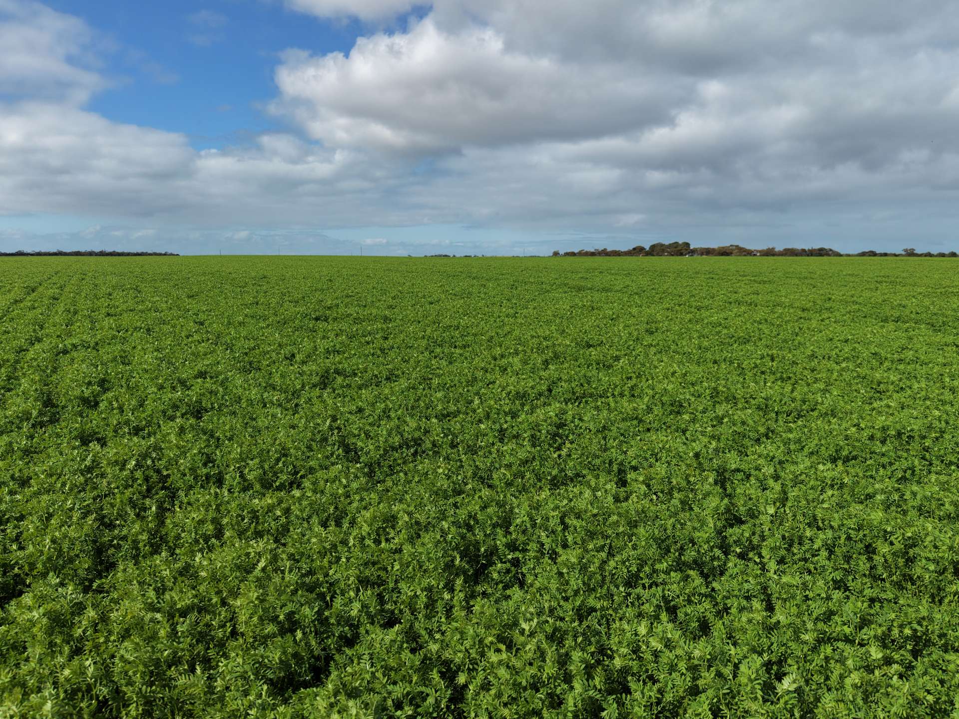 406 Crowell Road, Winulta For Sale by Farmbuy.com - image 7