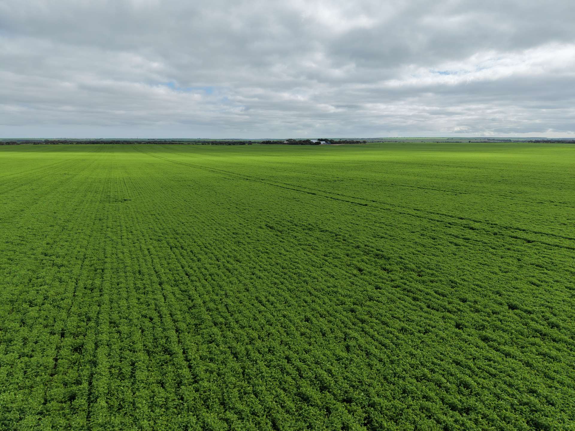 406 Crowell Road, Winulta For Sale by Farmbuy.com - image 3