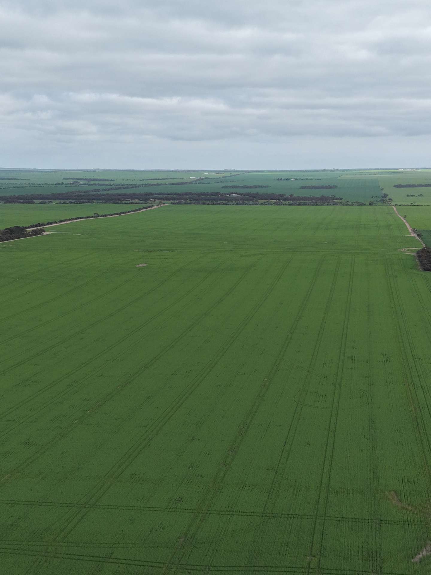 406 Crowell Road, Winulta For Sale by Farmbuy.com - image 6